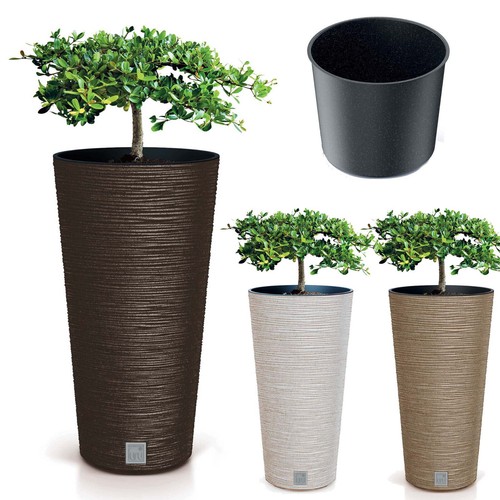 Pot fleurs avec - fleurs, furu